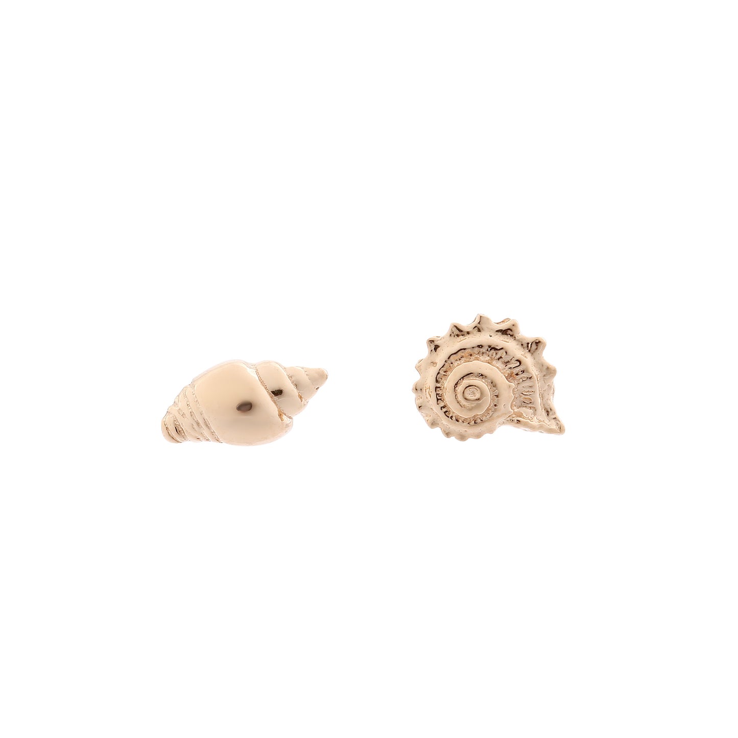 Shell Stud