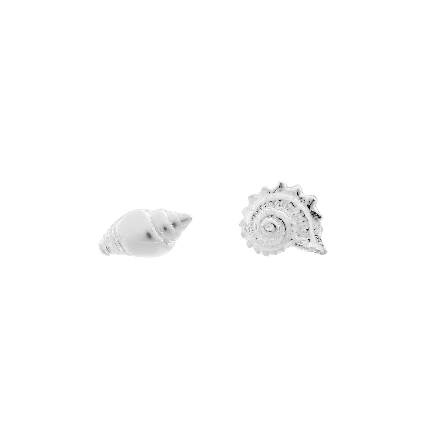 Shell Stud