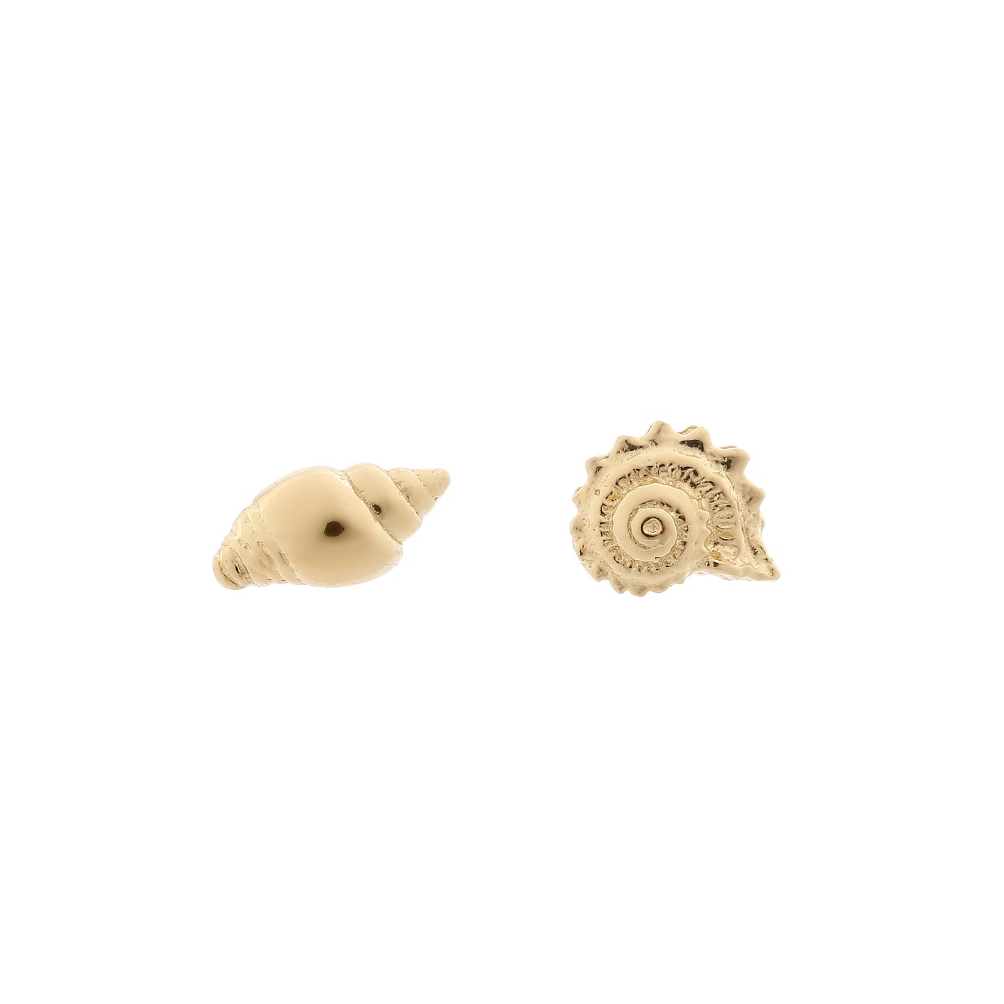 Shell Stud