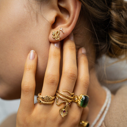 Python Ring