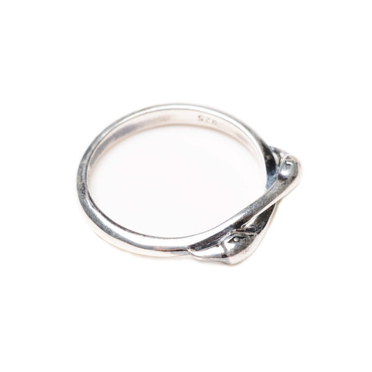 Hug Ring I Silber