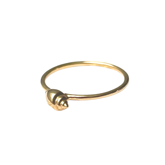 Shell Ring