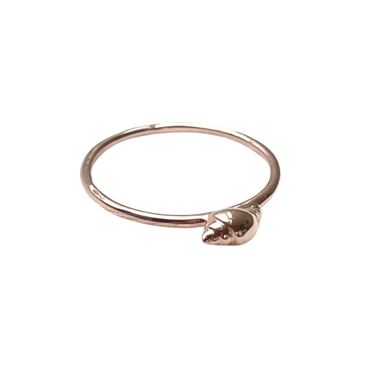 Shell Ring